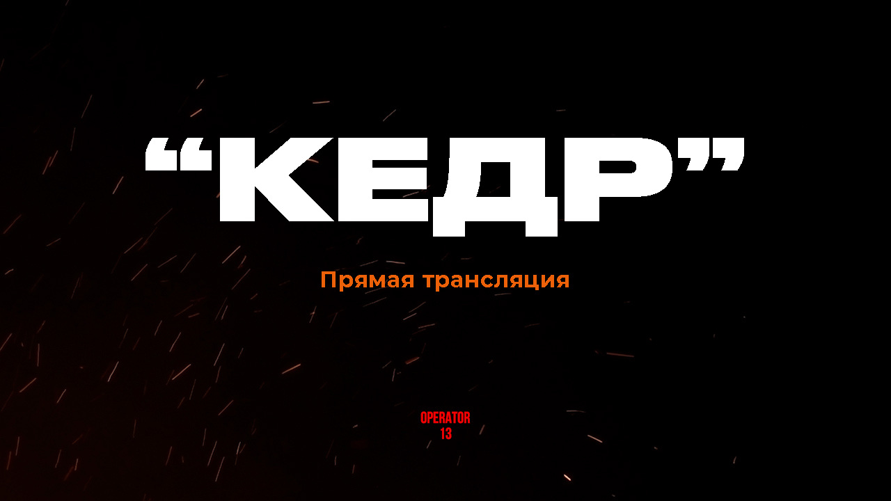 ПРЯМОЙ ЭФИР задаем вопросы, гость "КЕДР" #интервь #кедр #operator13 #стрим обрезан