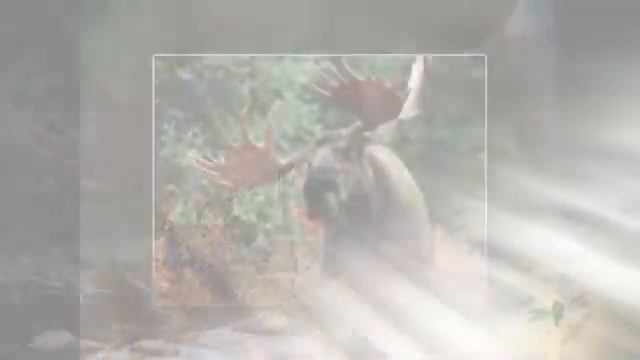 соседи по планете .avi смотреть онлайн