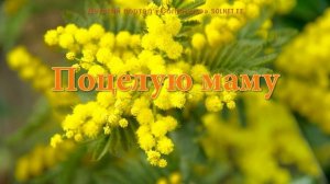 Поцелую маму. Песня о маме