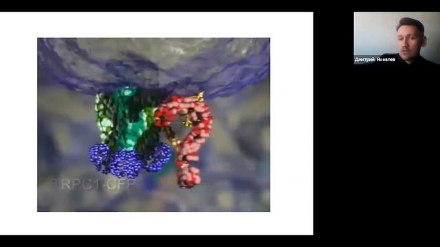 #4 «Знакомство с возможностями НЦИЛС как способ реализации исследовательского потенциала» • ШМИ смотреть онлайн