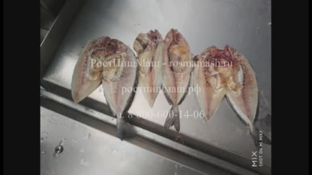 Машина для разделки мелкой рыбы пластом "бабочки" FGB-168 до 60 шт/мин смотреть онлайн