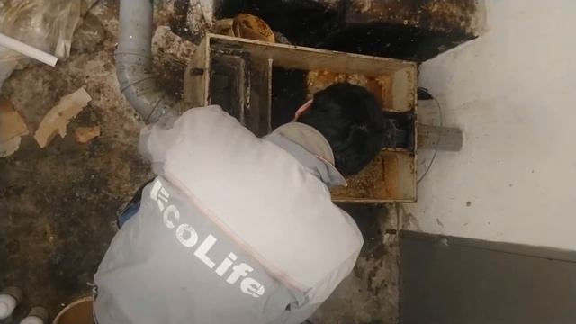 Жироуловитель цеховой. Откачка, чистка, дезинфекция.