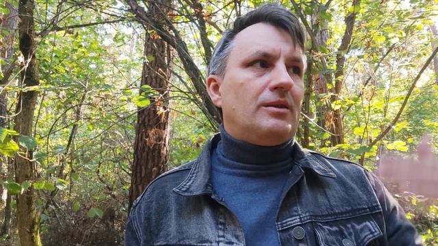Заказчик! Проверь сам объявления именно так