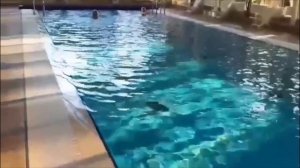 Аквапарк в санатории