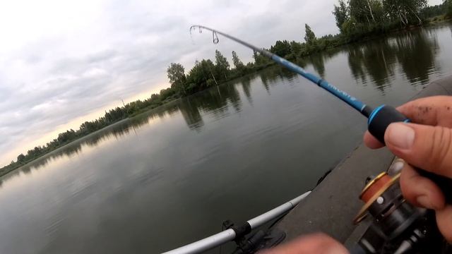 ЗЛЫЕ РЫБИНЫ ТЭЦ БОЛОТА на деликатную палочку солид Favorite blue bird 1-7 смотреть онлайн