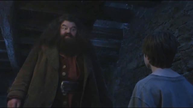 Harry Potter Spoof!!! - You're a faggot Harry. смотреть онлайн