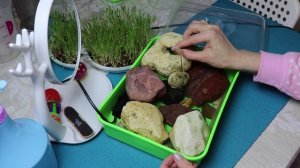 КАК СДЕЛАТЬ ФОНТАН КУПАЛЬНЮ ДЛЯ ПОПУГАЯ С ПОМОЩЬЮ ФИКС ПРАЙС ПРОРАЩИВАТЕЛЯ