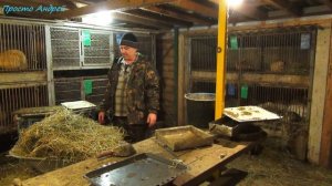 ЧТО нужно знать при кормление сеном нутрий