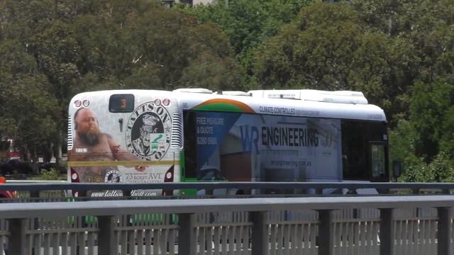 Buses at Lake Burley Griffin (Commonwealth Avenue) - Canberra Transport смотреть онлайн