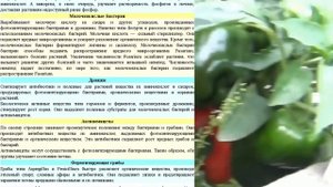 Био-удобрение Байкал ЭМ-1. Оздоравливаем почву