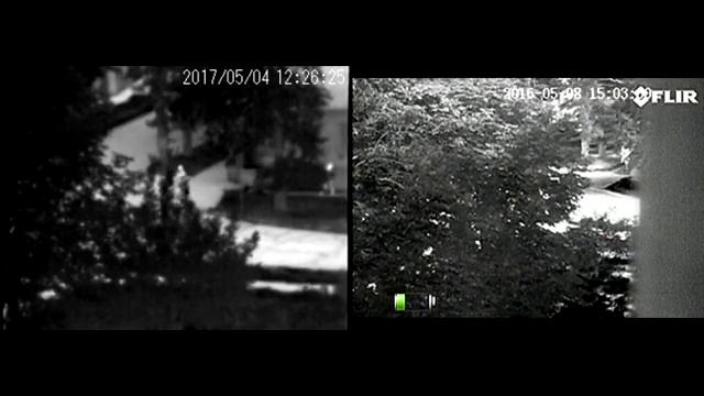 Сравнение тепловизоров FLIR Scout PS24 и Thermal-EYE 2000as смотреть онлайн