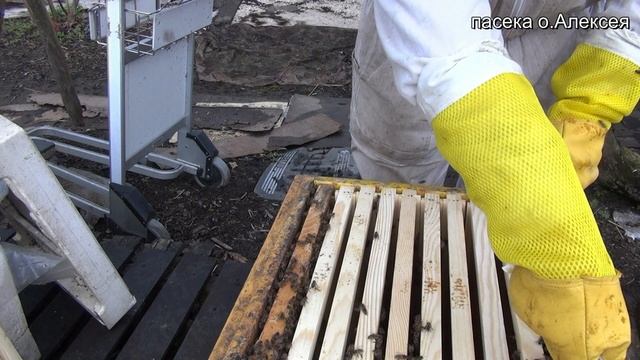 Осмотр пчёл в плохую погоду. смотреть онлайн