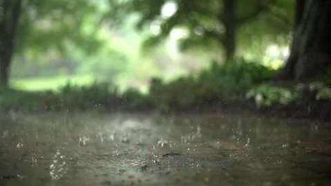 Детство.. Дмитрий Назаркин