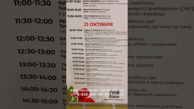 19 октября 2023 г.