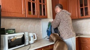 Натуральное кормление собаки - мясо и мясопродукты