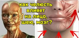 Кожа лица, шея, мозг страдают из-за слабости мышц нижней челюсти. 3 упражнения