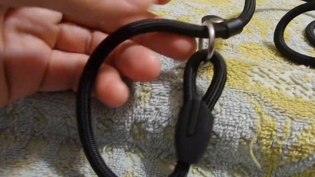 i Аврора Поводок для кошек и мелких пород собак Leash for cats and small breed dogs 20230313 смотреть онлайн