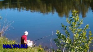 Рыбалка на канале им. Москвы, начало июня 2021, подлещик