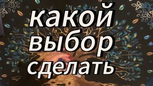 Как поступить в ситуации⁉️