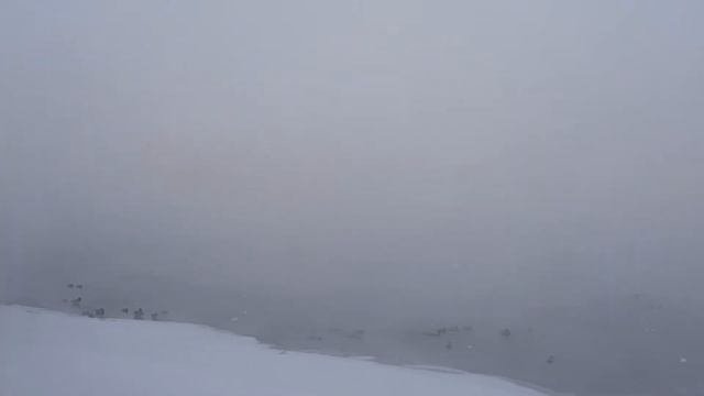Санкт-Петепбург. Английская набережная
