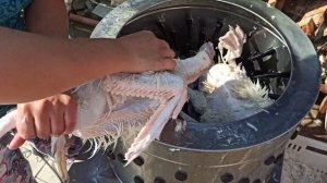 Ощип индаутки в перосьемной машине НТ600А.