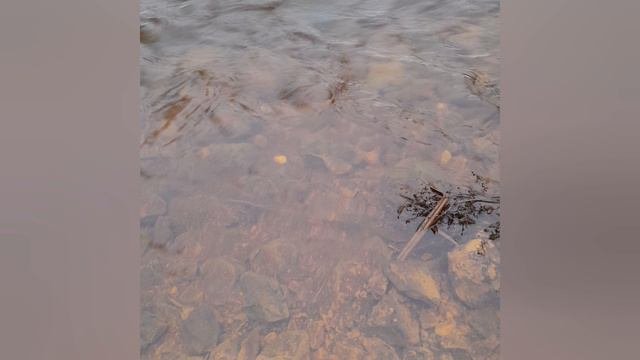Весна.Вода.