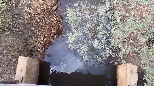 Планомерная работа по ликвидации ЧС идет в Приморье