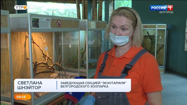 Грозные снаружи, с характером внутри: любопытные факты о рептилиях смотреть онлайн