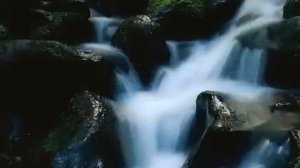 Знала ль ты, Мария