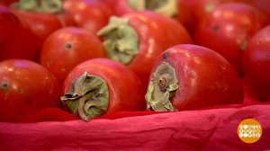 Почему хурма "вяжет"? Доброе утро. Фрагмент выпуска от 11.01.2024