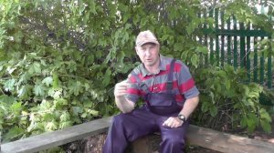 Поиск точки ловли в фидере. Теория и практика...