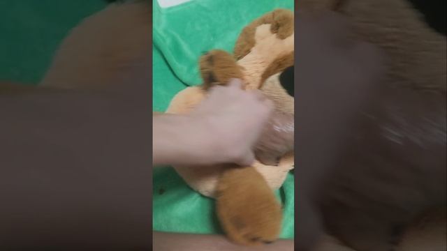 Мультфильм о животных когда они дерутся в дикой природе смотреть бесплатно. смотреть онлайн