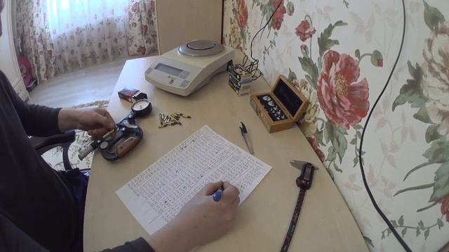 .22LR SK Ammo Analysis смотреть онлайн