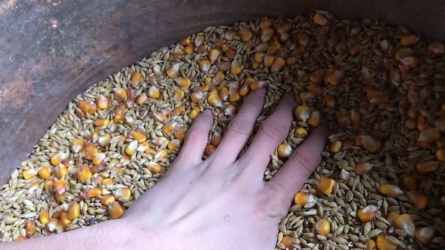 Яким зерном я кормлю кролів? смотреть онлайн