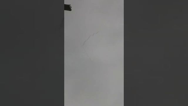 Гуси улетают 