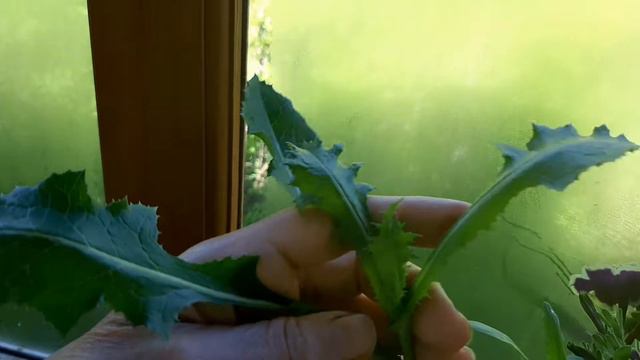 Вызвала МУЖА НА ЧАС , пока мой на работе !😀🌹👍 смотреть онлайн