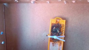 монтикола от Дмитрия Журавлева 23 мая 2024 г.