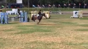 2 to Tango 1.10m classic Showpark Rnd 1