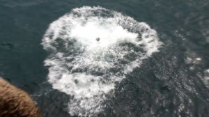 Прыгнул со скалы в море, остался жив