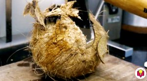 Как почистить кокос: 7 способов легко убрать скорлупу подручными средствами