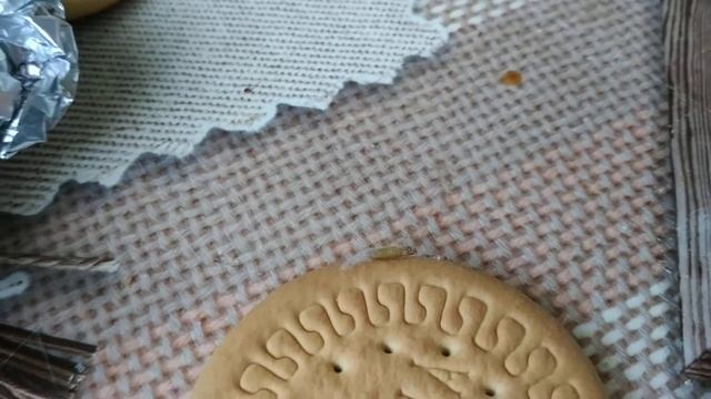 ЖУКИ и ЛИЧИНКИ В ЕДЕ (печеньке). Это не Шок. В нашей стране это норма. смотреть онлайн