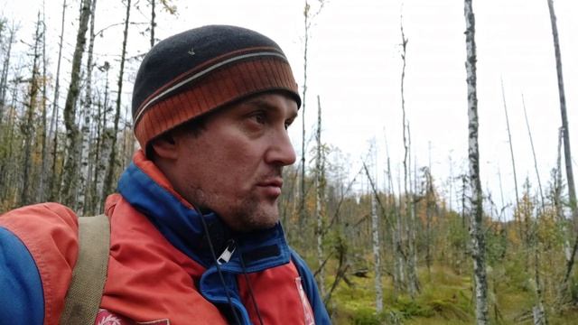 Сбор Клюквы на новом месте. Всё усыпано ягодой. смотреть онлайн