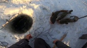 зимняя рыбалка | русская рыбалка | летняя рыбалка