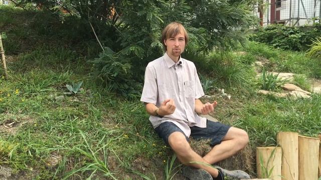 Письмо в вальдорфской школе смотреть онлайн