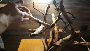 КАК СДЕЛАТЬ КОРЯГУ БОНСАИ СВОИМИ РУКАМИ. HOW TO MAKE A DRIFTWOOD BONSAI DIY