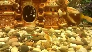 Аквариум AquaHouses, тип: угловой сектор, объём: 70 литров