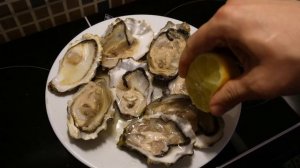 Устрицы интересные факты про устриц как они растут и как их кушать