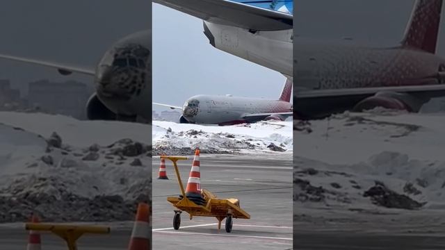 Леолет - Boeing-777 в ливрее с леопардом а/к Россия