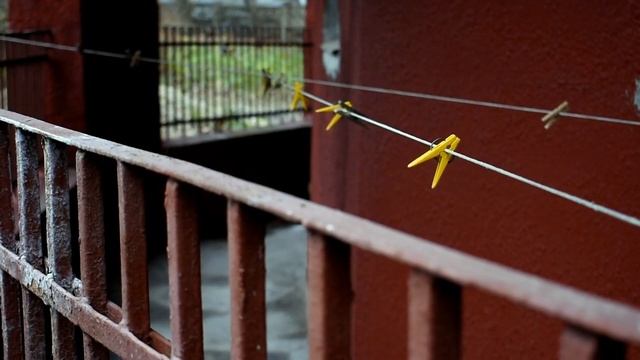 Анна Ахматова и самый необычный дом Тулы