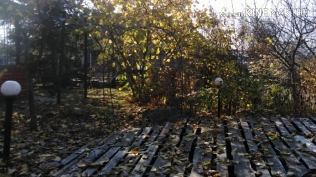 ОСЕННИЙ ЛИСТОПАД